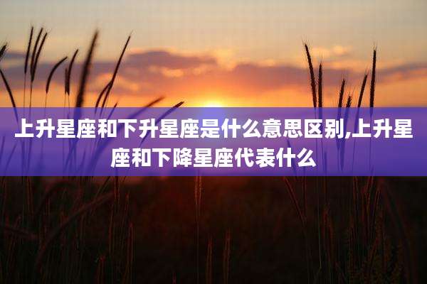 上升星座和下升星座是什么意思区别,上升星座和下降星座代表什么