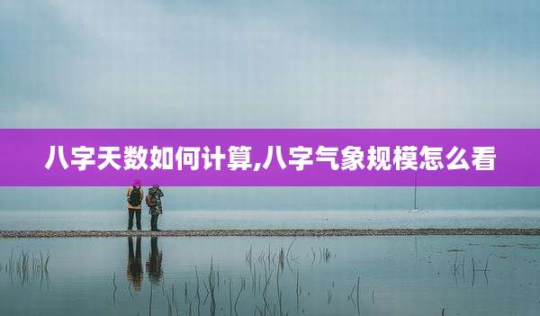 八字天数如何计算,八字气象规模怎么看