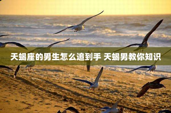 天蝎座的男生怎么追到手 天蝎男教你知识