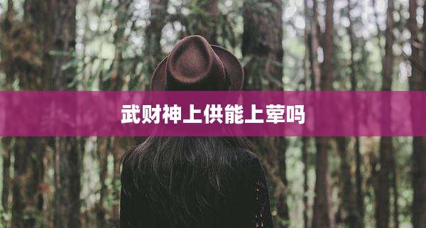 武财神上供能上荤吗