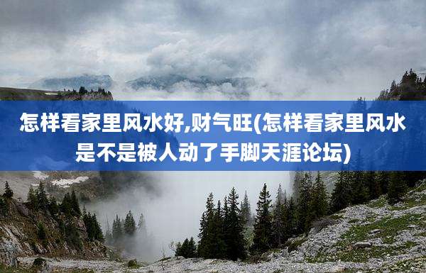 怎样看家里风水好,财气旺(怎样看家里风水是不是被人动了手脚天涯论坛)