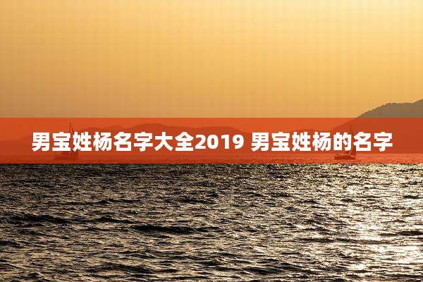 男宝姓杨名字大全2019 男宝姓杨的名字