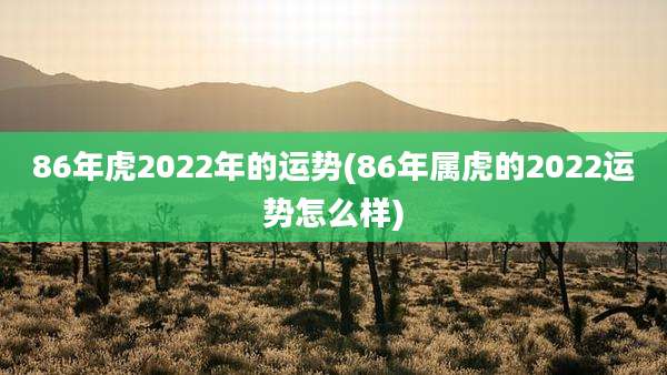 86年虎2022年的运势(86年属虎的2022运势怎么样)