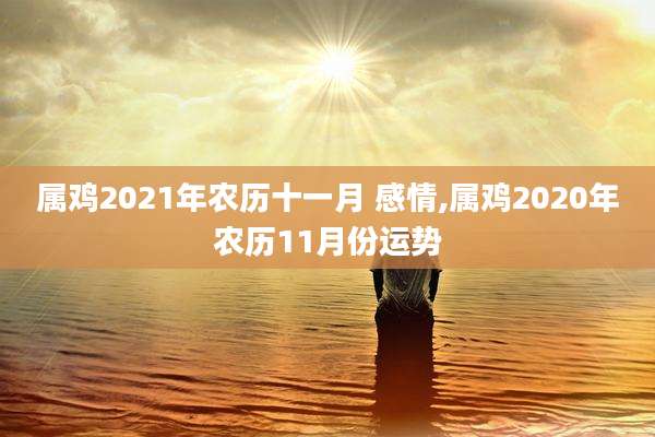 属鸡2021年农历十一月 感情,属鸡2020年农历11月份运势