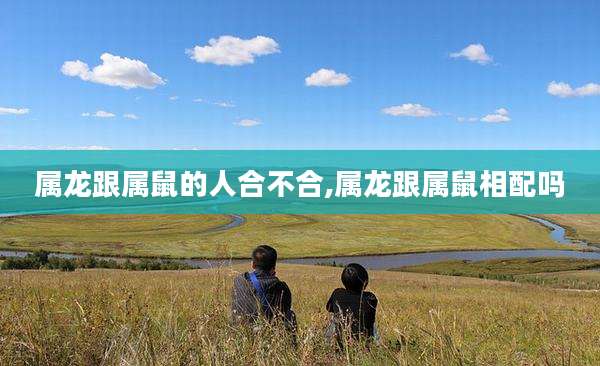 属龙跟属鼠的人合不合,属龙跟属鼠相配吗