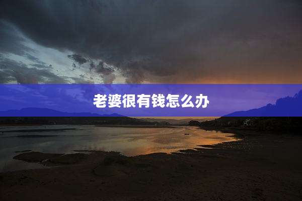 老婆很有钱怎么办