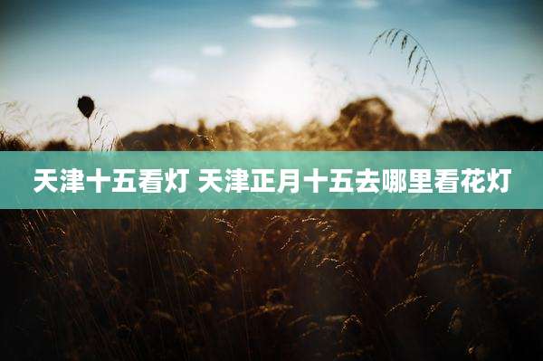 天津十五看灯 天津正月十五去哪里看花灯
