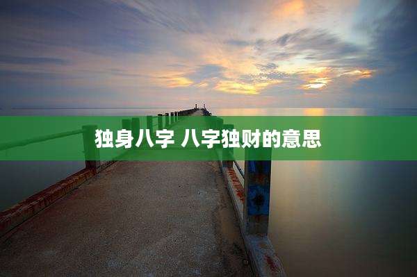 独身八字 八字独财的意思
