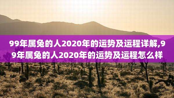 99年属兔的人2020年的运势及运程详解,99年属兔的人2020年的运势及运程怎么样