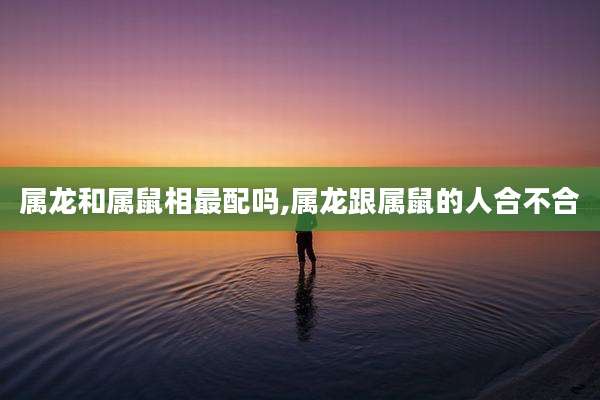 属龙和属鼠相最配吗,属龙跟属鼠的人合不合
