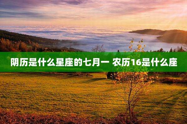 阴历是什么星座的七月一 农历16是什么座