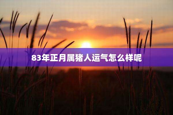 83年正月属猪人运气怎么样呢