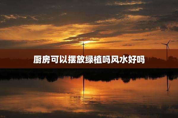 厨房可以摆放绿植吗风水好吗