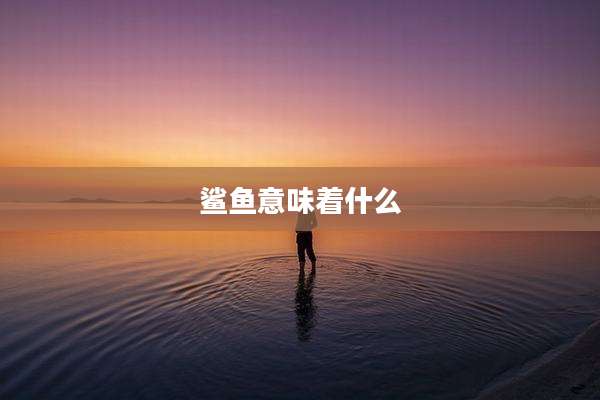 鲨鱼意味着什么
