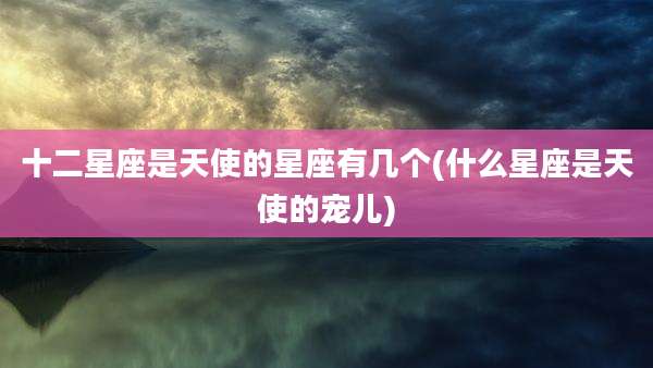 十二星座是天使的星座有几个(什么星座是天使的宠儿)