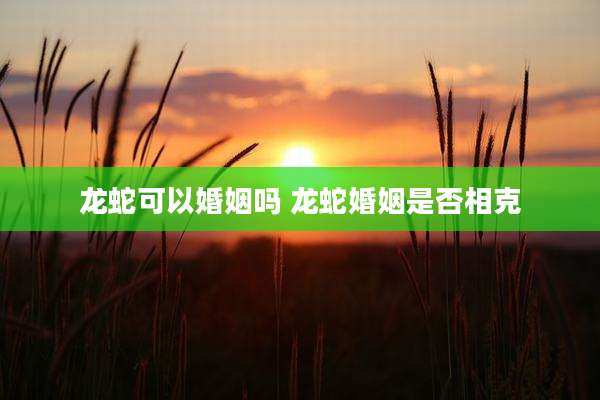 龙蛇可以婚姻吗 龙蛇婚姻是否相克