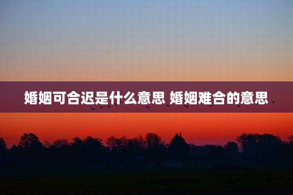 婚姻可合迟是什么意思 婚姻难合的意思