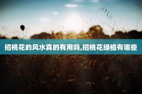 招桃花的风水真的有用吗,招桃花绿植有哪些