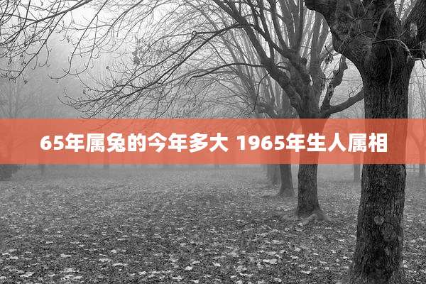 65年属兔的今年多大 1965年生人属相