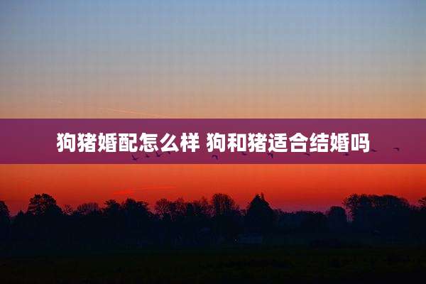 狗猪婚配怎么样 狗和猪适合结婚吗