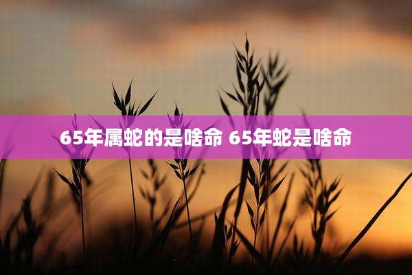 65年属蛇的是啥命 65年蛇是啥命