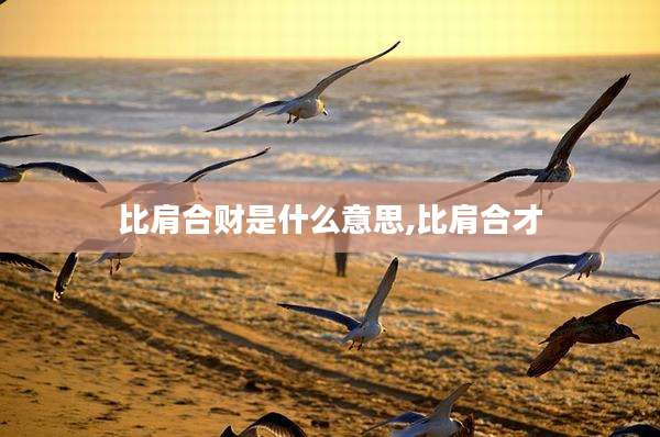比肩合财是什么意思,比肩合才