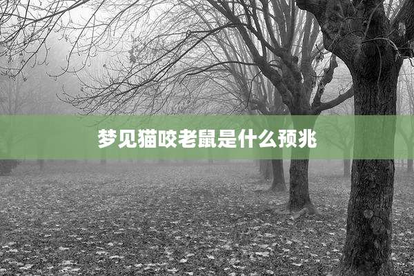 梦见猫咬老鼠是什么预兆