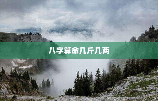 八字算命几斤几两