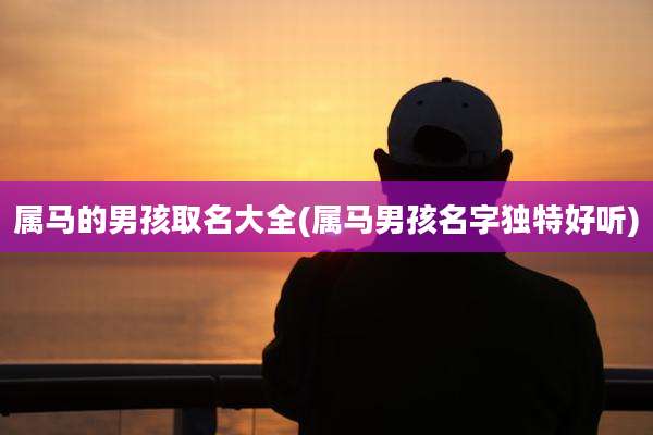 属马的男孩取名大全(属马男孩名字独特好听)