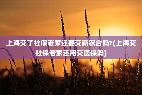 上海交了社保老家还要交新农合吗?(上海交社保老家还用交医保吗)