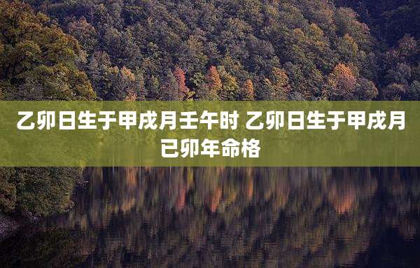 乙卯日生于甲戌月壬午时 乙卯日生于甲戌月已卯年命格