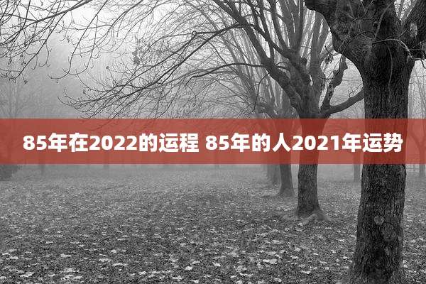 85年在2022的运程 85年的人2021年运势
