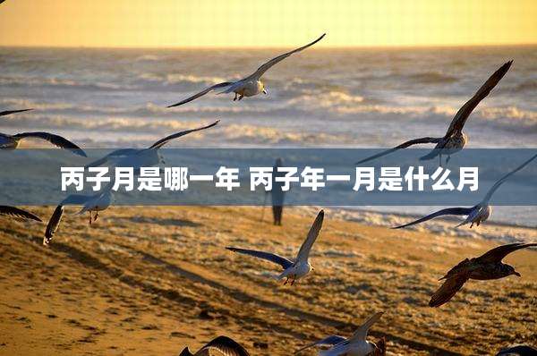 丙子月是哪一年 丙子年一月是什么月