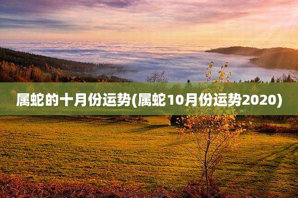 属蛇的十月份运势(属蛇10月份运势2020)