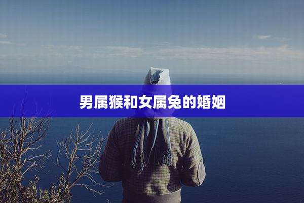 男属猴和女属兔的婚姻