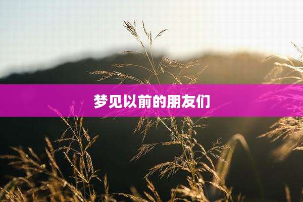 梦见以前的朋友们