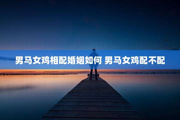 男马女鸡相配婚姻如何 男马女鸡配不配