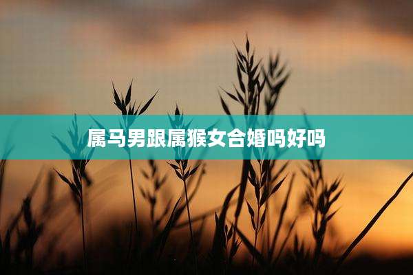 属马男跟属猴女合婚吗好吗