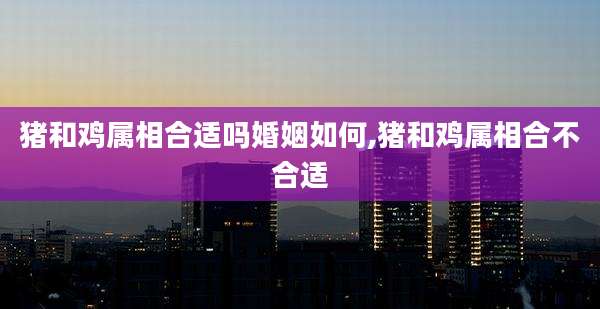 猪和鸡属相合适吗婚姻如何,猪和鸡属相合不合适
