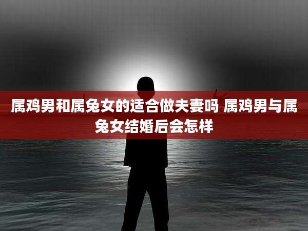 属鸡男和属兔女的适合做夫妻吗 属鸡男与属兔女结婚后会怎样