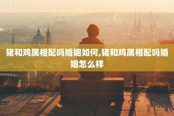猪和鸡属相配吗婚姻如何,猪和鸡属相配吗婚姻怎么样