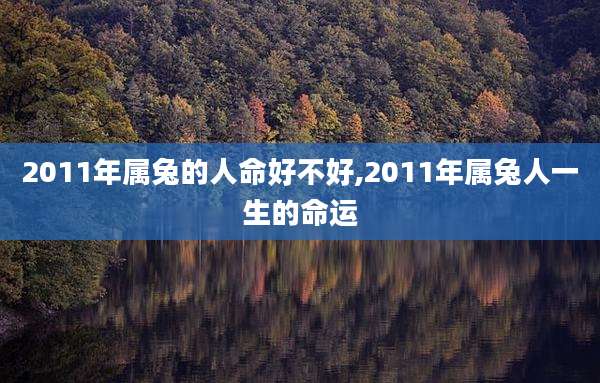 2011年属兔的人命好不好,2011年属兔人一生的命运