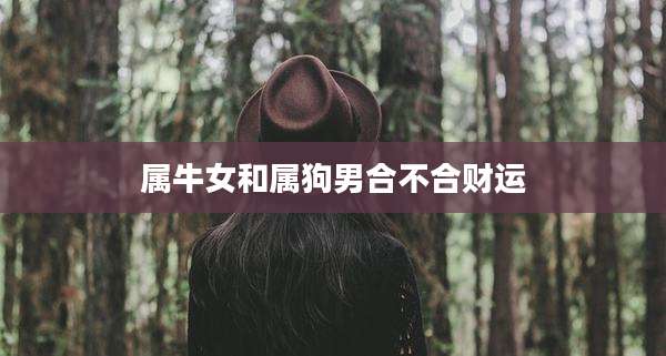 属牛女和属狗男合不合财运
