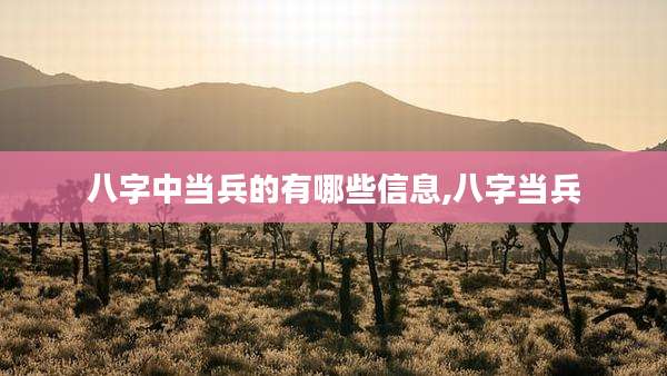 八字中当兵的有哪些信息,八字当兵