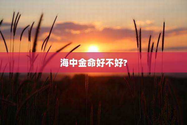 海中金命好不好?