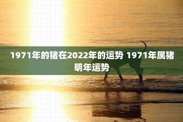 1971年的猪在2022年的运势 1971年属猪明年运势