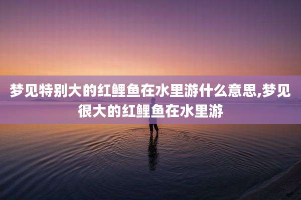 梦见特别大的红鲤鱼在水里游什么意思,梦见很大的红鲤鱼在水里游