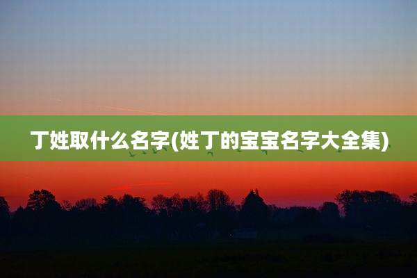 丁姓取什么名字(姓丁的宝宝名字大全集)