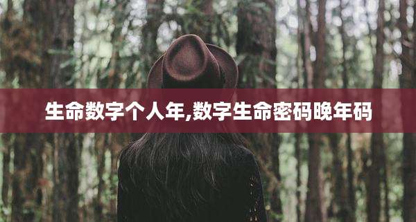 生命数字个人年,数字生命密码晚年码