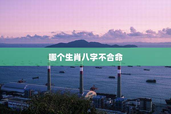 哪个生肖八字不合命